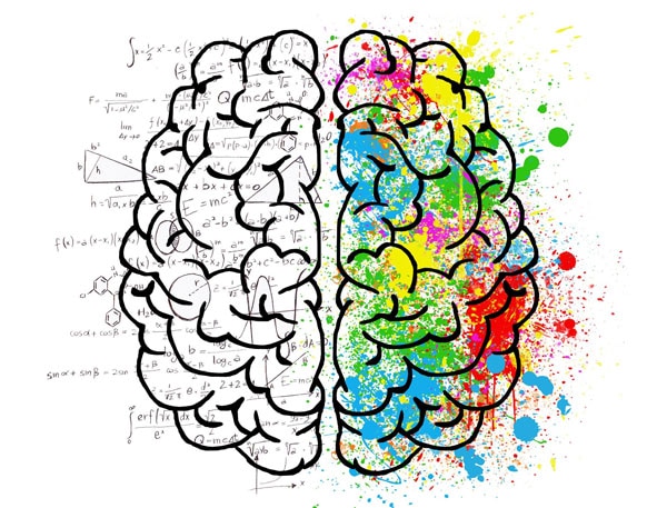 brain image showing left and right side of brain -learning psychology skills