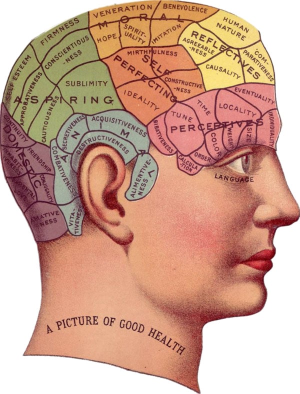 vintage brain study - learning psychology skills